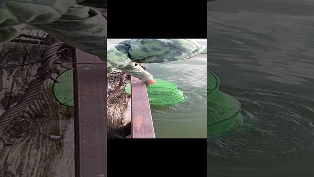 Речная рыбалка
