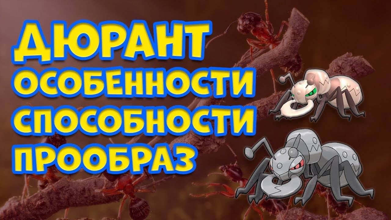 ДЮРАНТ. ОСОБЕННОСТИ, СПОСОБНОСТИ, ПРООБРАЗ