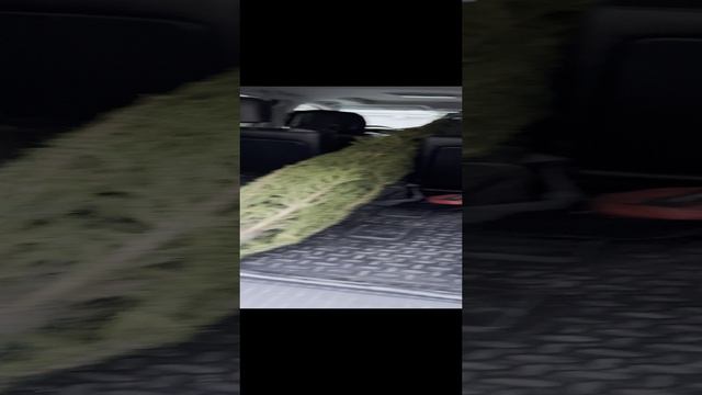 ЕЛЬ/СОСНА Москва, Стахановская 7с4 (В НАЛИЧИИ С 20.11.2024г)