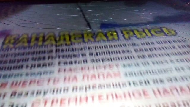 Пакетики от деагостини СНЕЖНЫЕ ХИЩНИКИ ко макси. Очень интересный обзор.