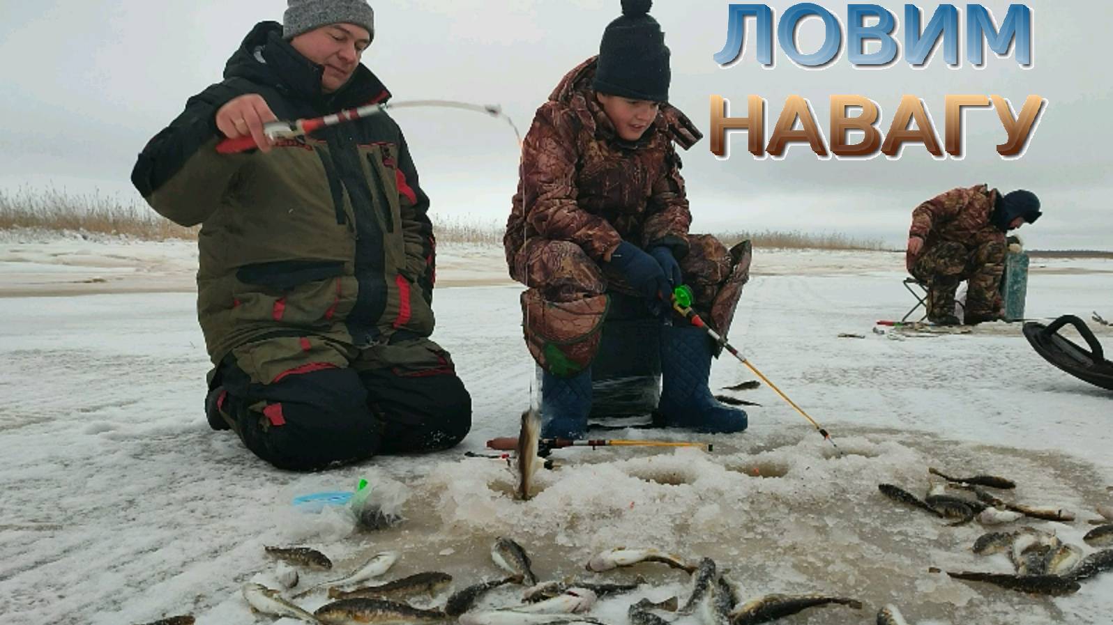 Рыбалка наваги на мяски. Унская Губа