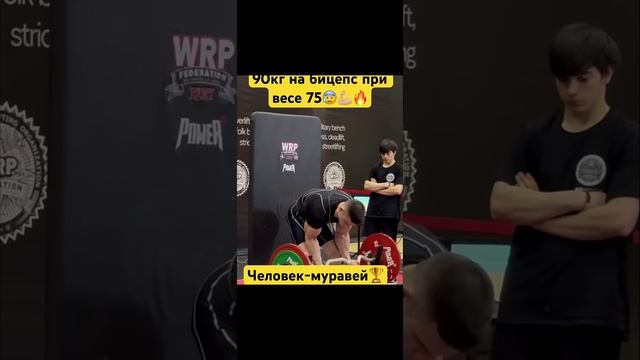 Обзор строгий подъём на бицепс.