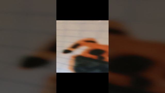 1000002930.mp4