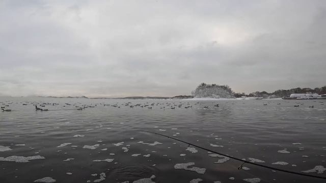 09.01.2024. Рыбалка на Спиннинг. Обстановка на Москва реке. После Сильных Морозов. Ультралайт.