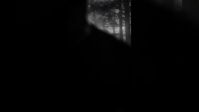 История на ночь Мерзкая рожа  на канале] #страшилки ##darktales #аудиокниги #страшныеистории