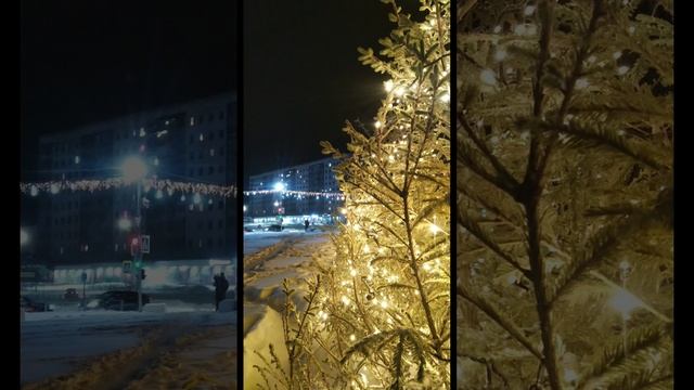 2024-12-09-225741361.mp4 Елена Дружиненко Воркута