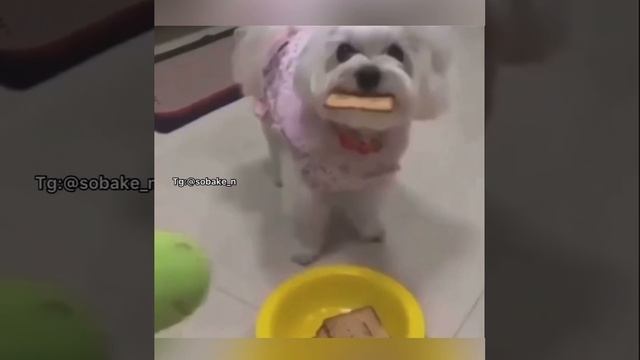 достаточно наглядно 😁