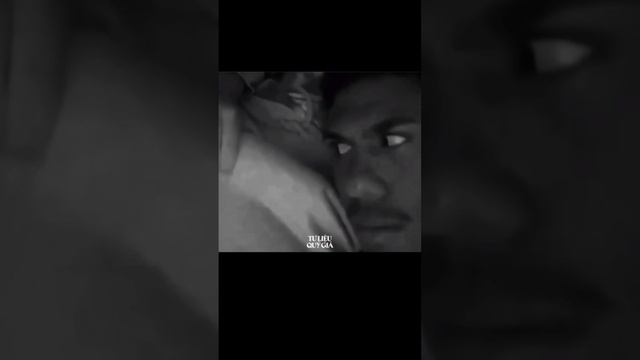 scene_output.mp4