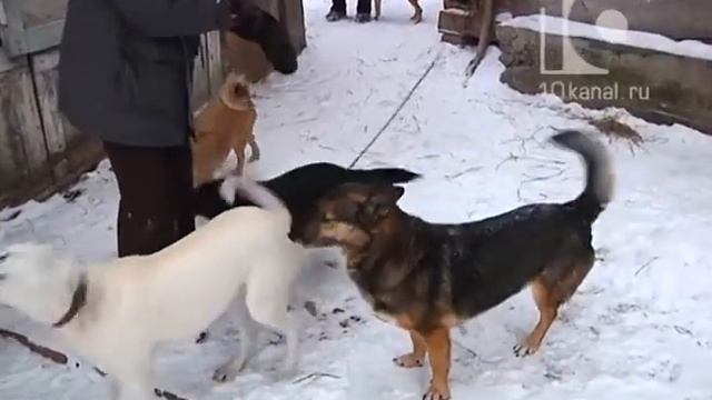 Самое время. Гость. 9.12.2016