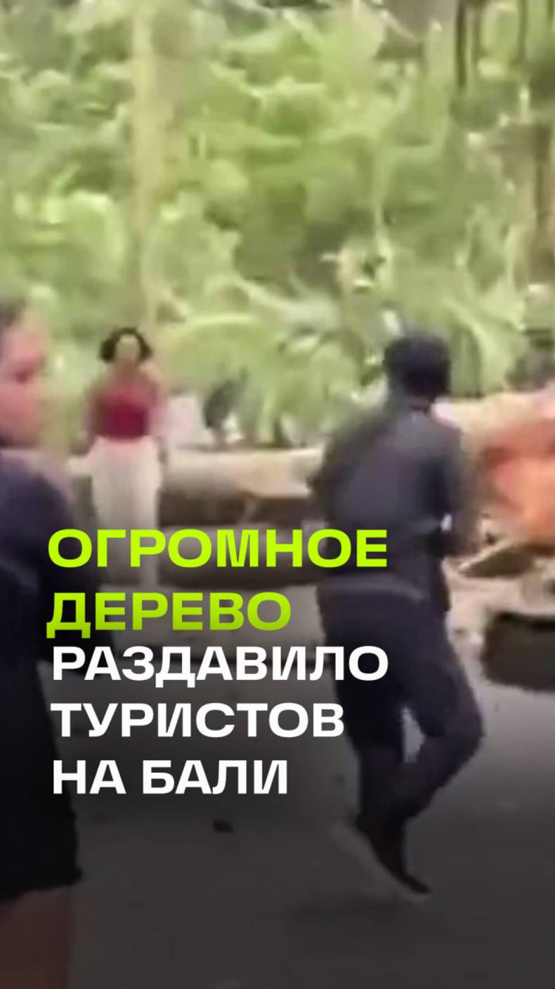 Гигантское дерево рухнуло на толпу туристов на Бали. Двое погибли