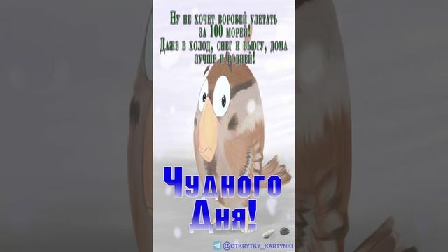 Открытка на день