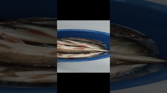 1000005797.mp4