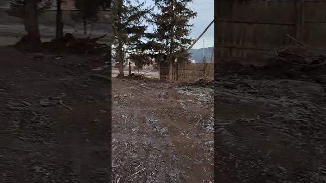 Начало пути