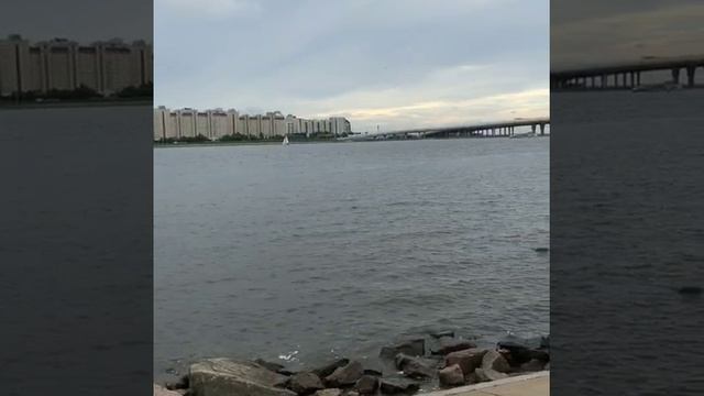 Питер
