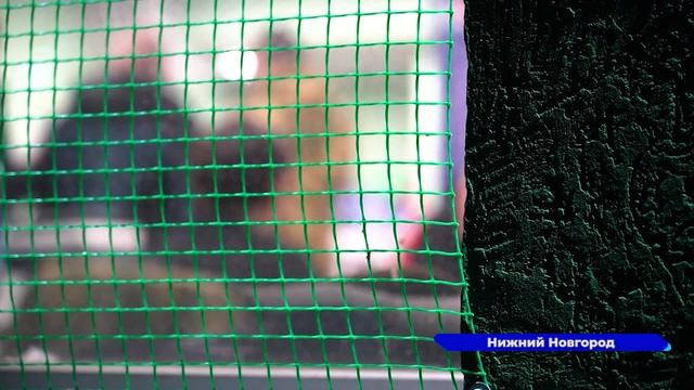 На СВО отправилась очередная группа нижегородских добровольцев