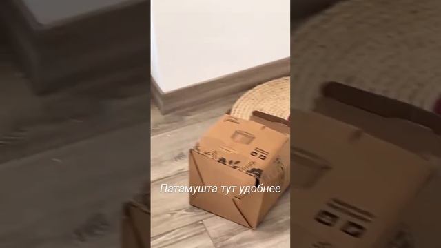 Патамушта