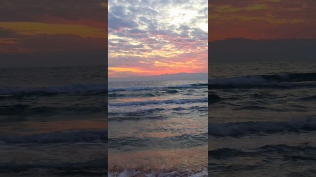 1733848717047.mp4