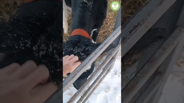 Александра Платова рассказывает про благодарность