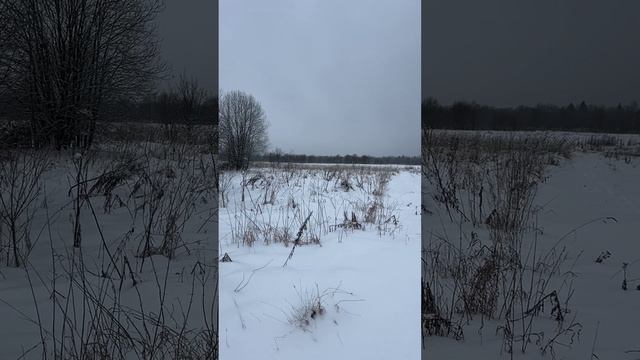 Продается  участок 17 соток в дер.Николаевка, Краснопламенское с.п., Александровский район