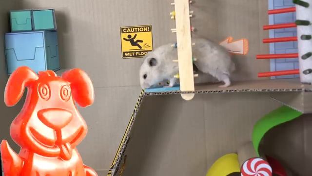 Хомяк убегает от Хаги Ваги вместе с желейным пёсиком Стасиком через лабиринт