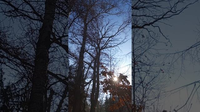 10.12.2024 #сегоднятак #сегодня #природа #матушказемля