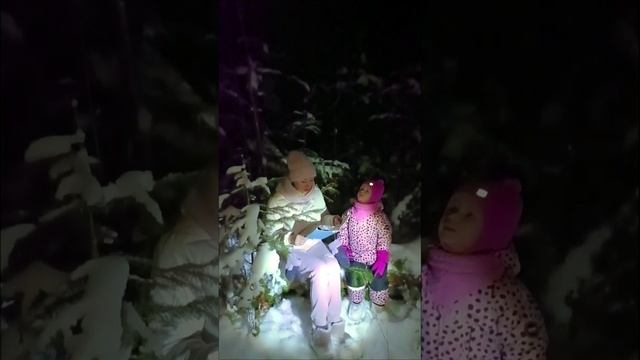 Серафим Попов "В декабрьском лесу"