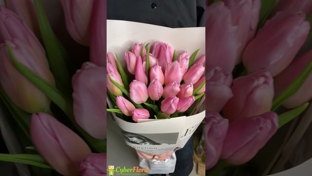 Букет 25 нежно-розовых тюльпанов