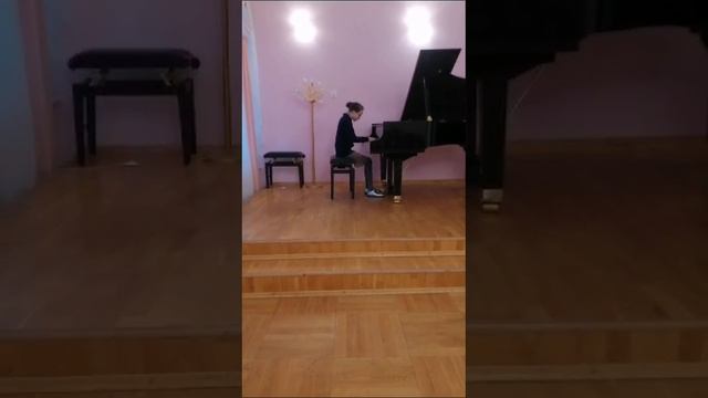 малиновская софия