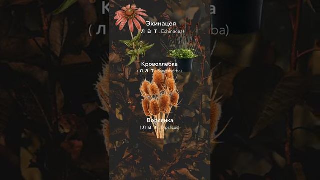 ЧТО ПОСАДИТЬ В САДУ ВЕСНОЙ 2025?