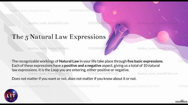 3 The 5 Natural Law Expressions