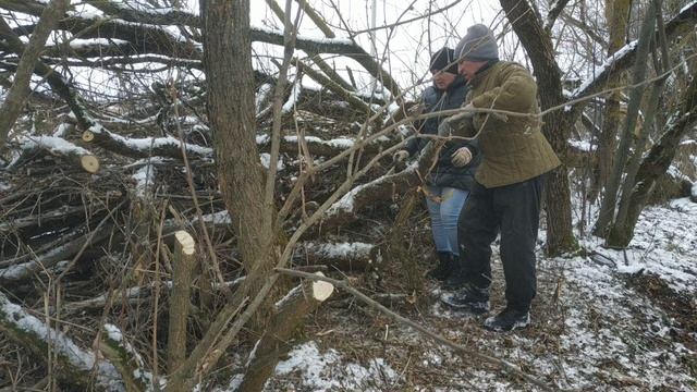 Размахнись рука, раззудись плечо 👀 Продолжаем убирать территорию