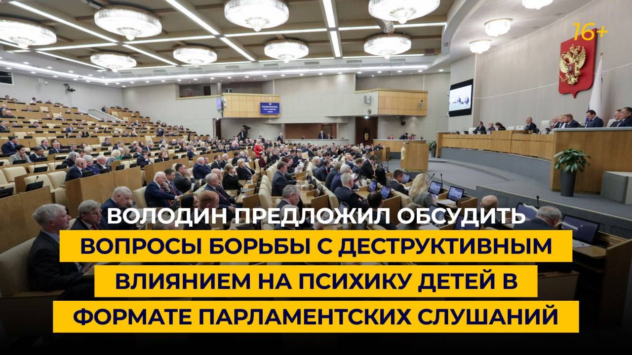 Володин предложил обсудить вопросы борьбы с деструктивным влиянием на психику детей