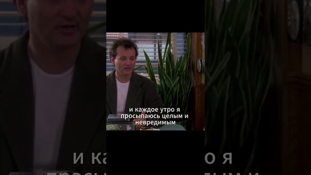 День Сурка, 1993 | Просто бог... #юмор #фильм #деньсурка #shorts