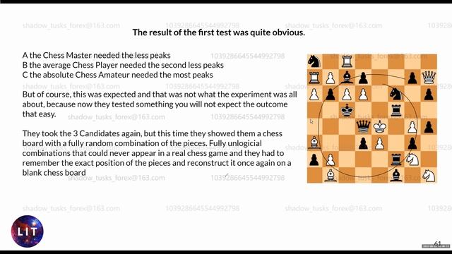 3 The Grandmaster Experiment