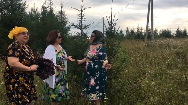 Песня « Занавесочки»
