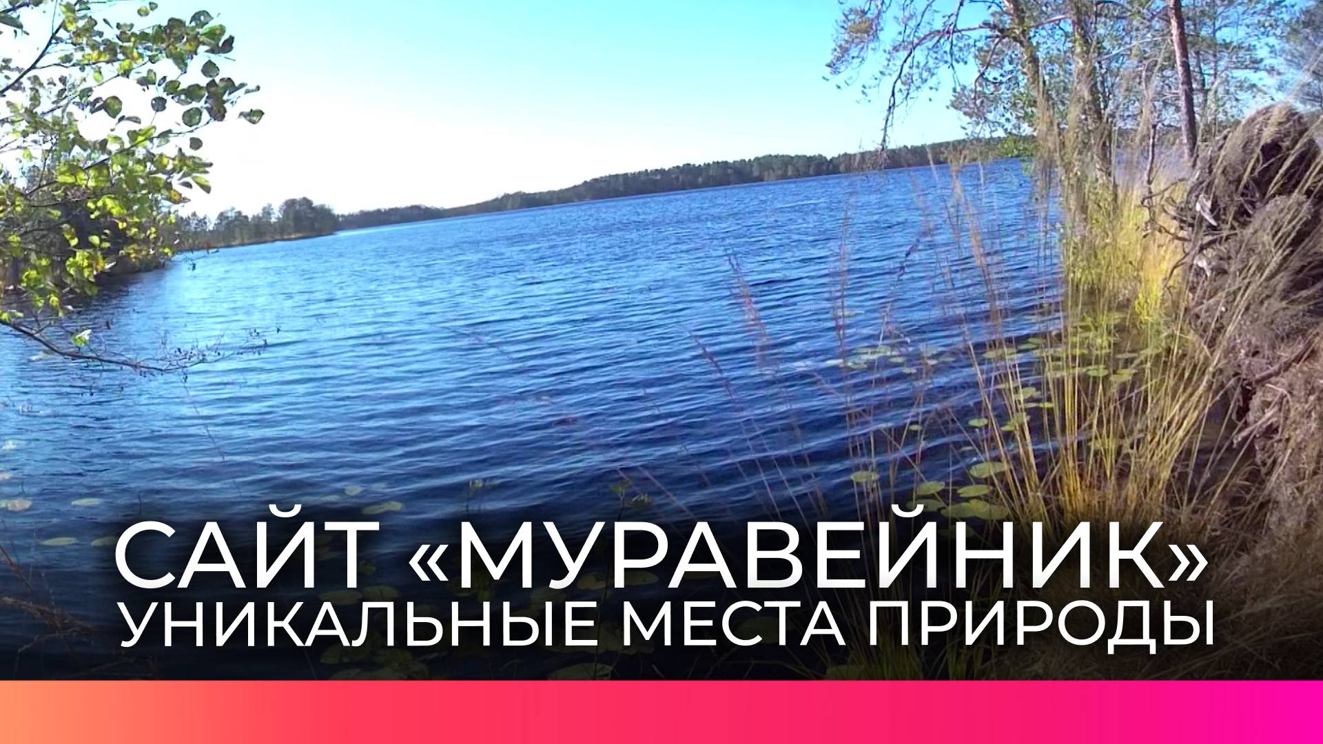 Там на неведомых дорожках: новгородцы могут виртуально путешествовать по уникальным уголкам природы