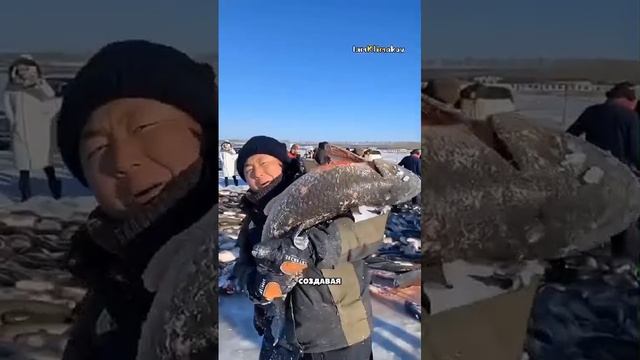 видел