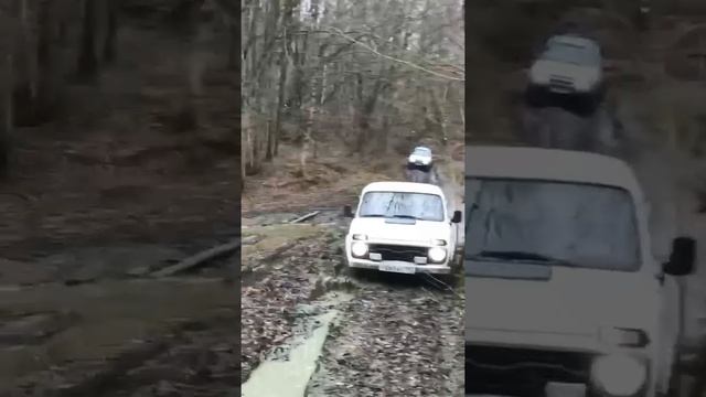 НИва прет #offroad #горы #природа #нива  #бездорожье #mud