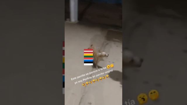 Жизненно