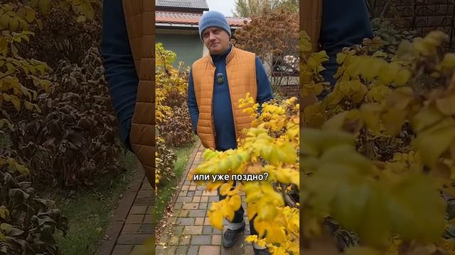 Сейчас уже поздно! Садовые работы
#дачныйагроном #сидераты #мульчирование #малина