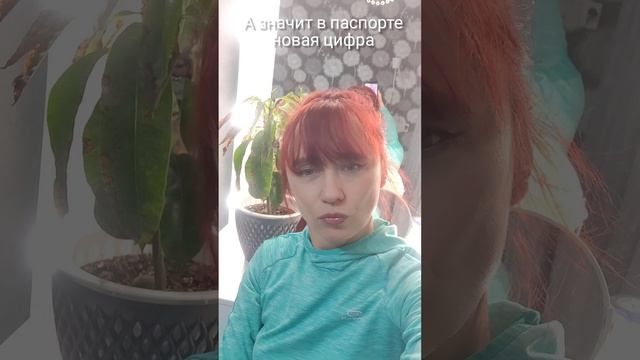 мы вдвоём: я и паспорт