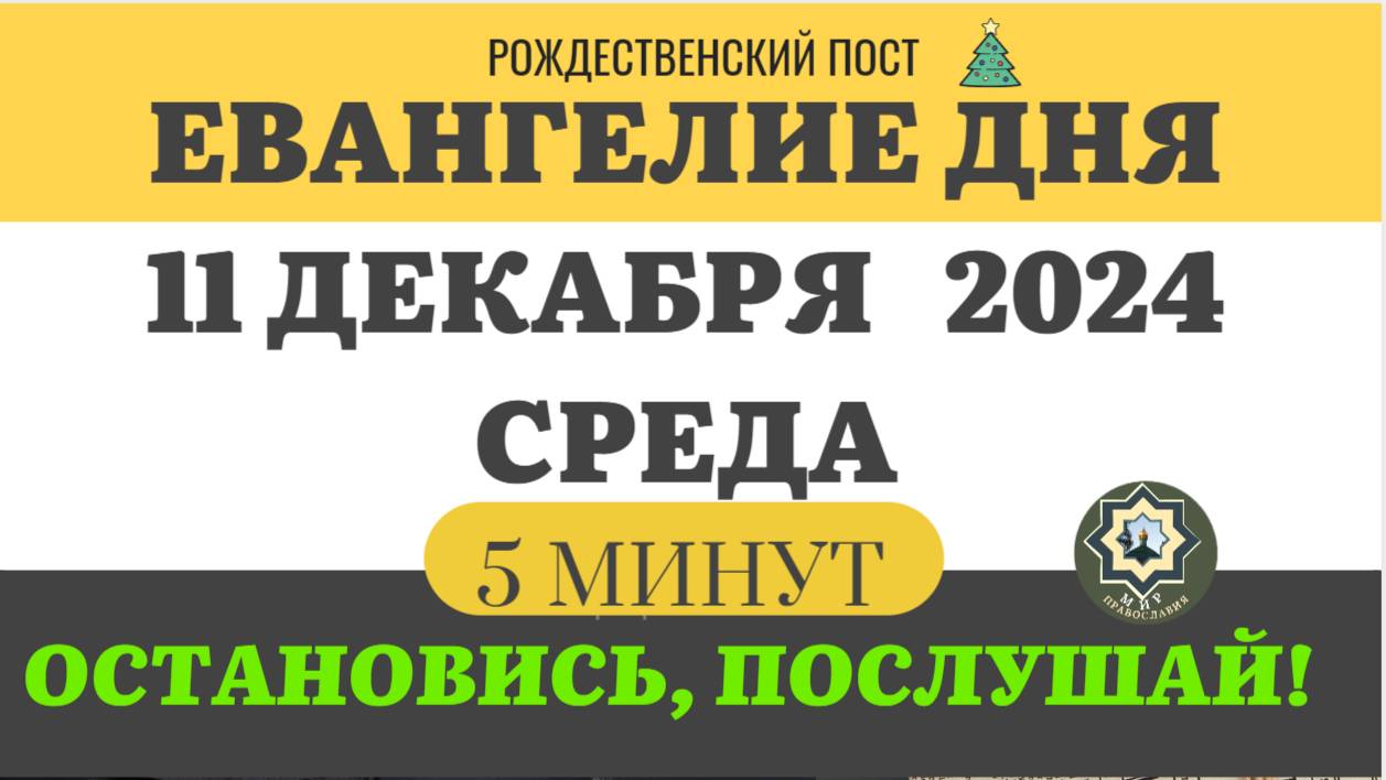 11 ДЕКАБРЯ СРЕДА ЕВАНГЕЛИЕ ДНЯ (5 МИНУТ) АПОСТОЛ МОЛИТВЫ 2024 #мирправославия