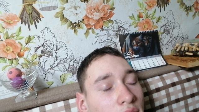 VID_20241210_205430