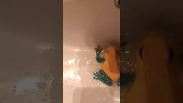 настоящая правда, не монтаж!!