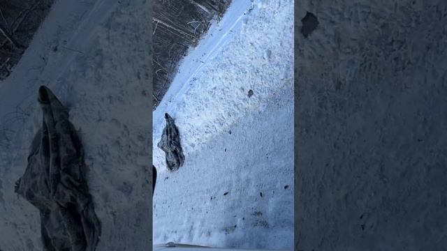 В Красноярске насмерть разбилась 17-летняя девушка, катаясь на привязанной к машине плюшке