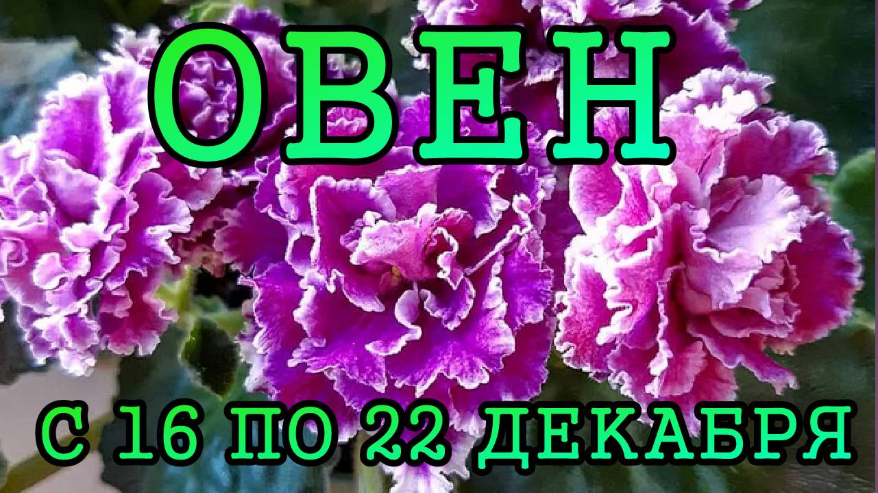 ОВЕН таро прогноз на неделю с 16 по 22 ДЕКАБРЯ 2024 года.