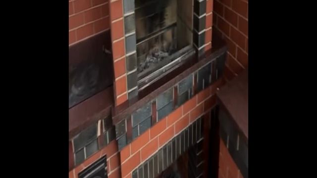 VID-20240709-WA0012.mp4