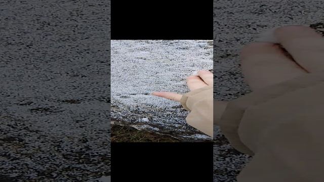 1000001182.mp4