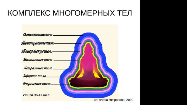 5 класс лекция 4 Человек