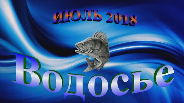 Водосье. Чудовский район.Июль 2018